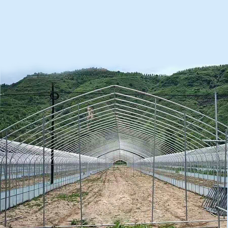 种植大棚