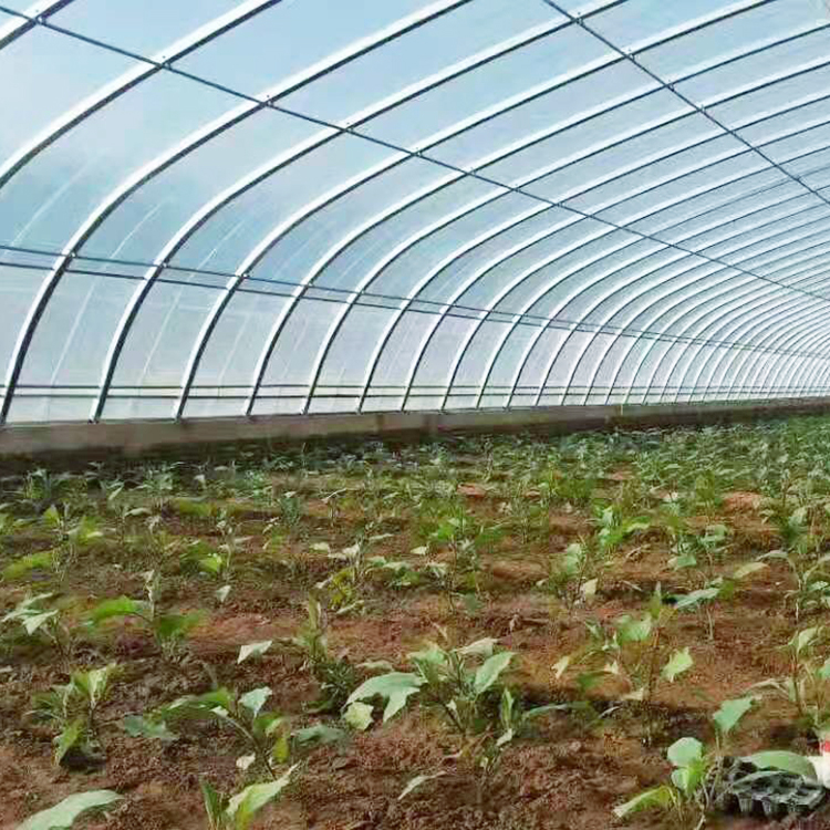 种植大棚